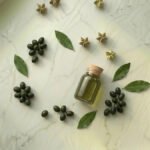 Defne yağı ve Laurus nobilis meyveleri — Akdeniz defne yaprakları