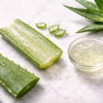 Aloe vera yaprağı kesiti ve şeffaf jel — sulu yeşil sukulent bitki