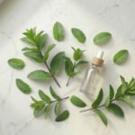 Nane yağı ve Mentha piperita yaprakları — taze yeşil nane