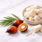 Palm kernel yağı ve çatlamış palm çekirdeği — beyaz katı yağ