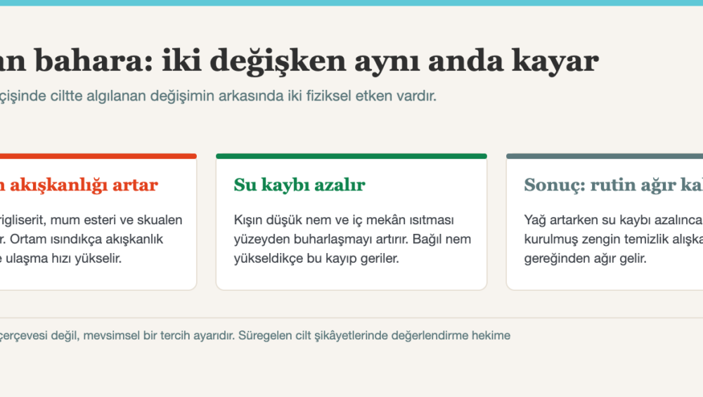 Bahar Temizliği: Cildiniz İçin Mevsim Geçiş Rutini 1 Bahar cilt bakımı: mevsim geçişinde sebum akışkanlığı ve su kaybı değişiminin diyagramı