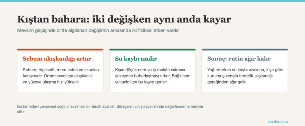 Bahar Temizliği: Cildiniz İçin Mevsim Geçiş Rutini 2 Bahar cilt bakımı: mevsim geçişinde sebum akışkanlığı ve su kaybı değişiminin diyagramı