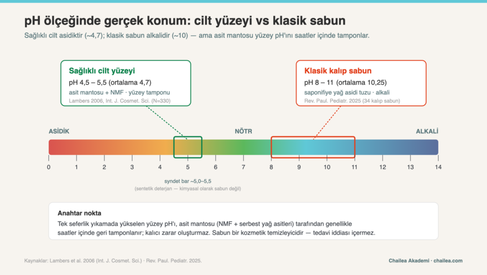Sabunun pH Değeri Cilde Zararlı mı? Saponifikasyon, Alkalilik ve Cilt Bariyeri Gerçeği 1 pH ölçeğinde sağlıklı cilt yüzeyi (4,5–5,5; ortalama 4,7) ile klasik kalıp sabunun (pH 8–11; ortalama 10,25) konumunu karşılaştıran bilimsel diyagram