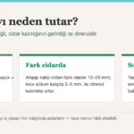 Ahşap sabun kalıbı neden ısıyı tutar — cidar kalınlığı ve jel evresi diyagramı