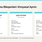 Katran Sabunu Çeşitleri: Ardıç, Çam ve Kükürt Hangi Kozmetik Amaca Uygun?