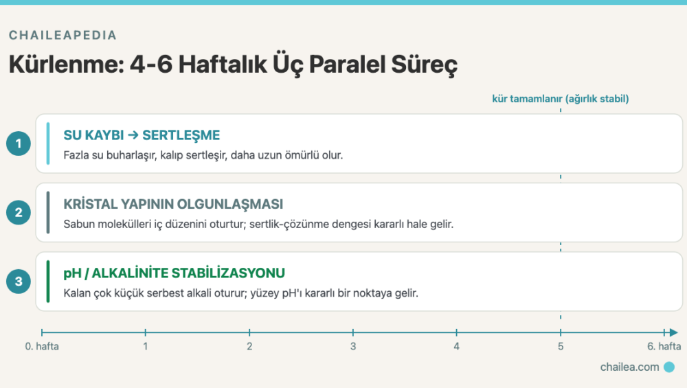 Sabun Kürlenmesi Nedir? Soğuk Yöntem Sabunun 4-6 Haftalık Bekleme Kimyası 1 Sabun Kürlenmesi Nedir? Soğuk Yöntem Sabunun 4-6 Haftalık Bekleme Kimyası