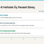 Sabun Kürlenmesi Nedir? Soğuk Yöntem Sabunun 4-6 Haftalık Bekleme Kimyası
