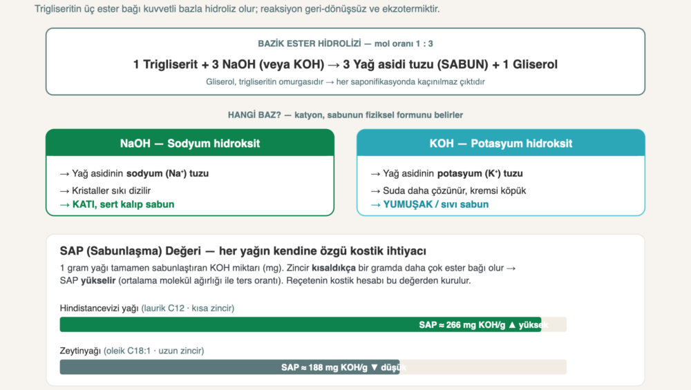 Saponifikasyon Nedir? Yağ + Kostik Nasıl Sabuna Dönüşür (Reaksiyon Kimyası ve SAP Değeri) 1 Saponifikasyon reaksiyonu (1 trigliserit + 3 NaOH/KOH → 3 sabun + 1 gliserol), NaOH/KOH ile katı/sıvı sabun farkı ve yağ zincir uzunluğuna göre SAP değeri karşılaştırması