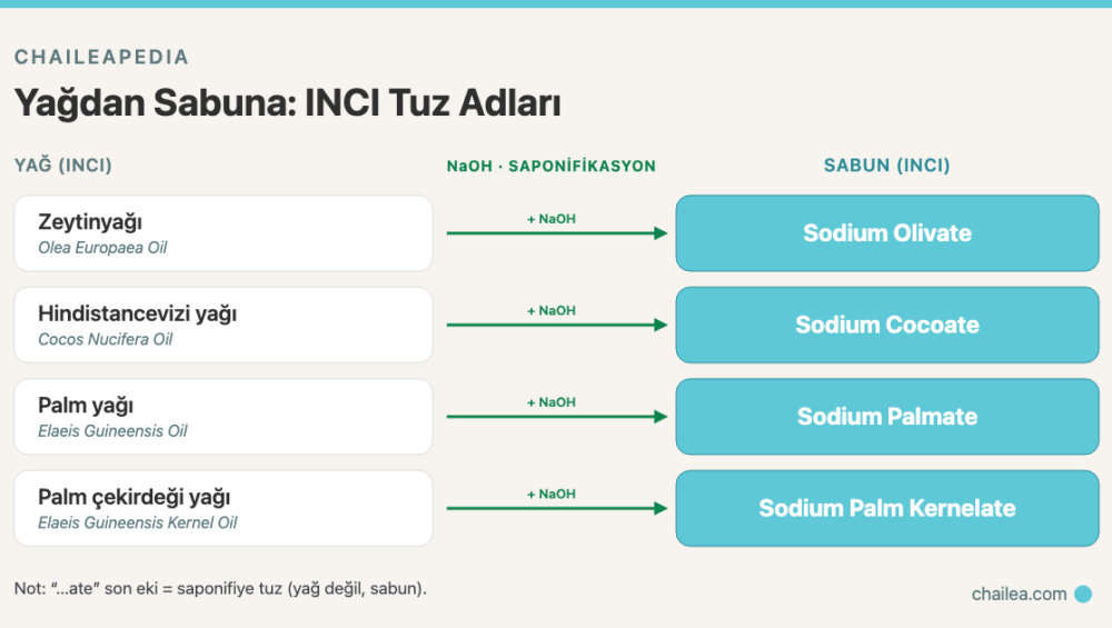 Sodium Olivate Nedir? INCI Etiketinde Yağ Yerine Neden "Sodium ...ate" Yazar