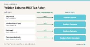 Sodium Olivate Nedir? INCI Etiketinde Yağ Yerine Neden "Sodium ...ate" Yazar