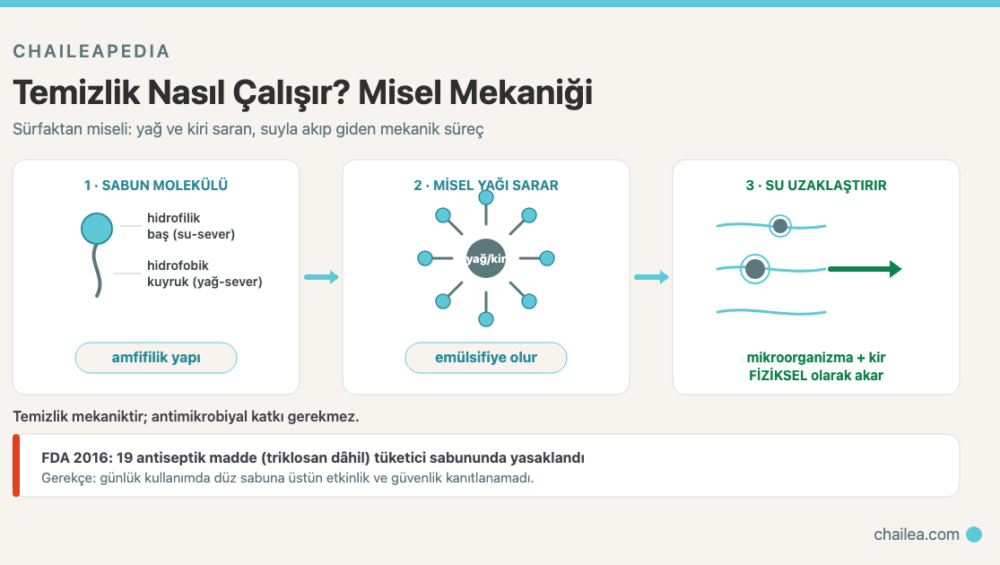 Antibakteriyel Sabun Gerekli mi? Mekanik Temizlik ve Triklosan Gerçeği 1 Antibakteriyel Sabun Gerekli mi