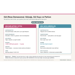Gül (Rosa Damascena): gülyağı, gül suyu ve parfum